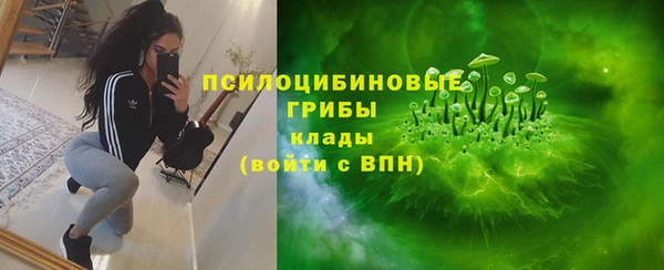 прущие крисы Алексин