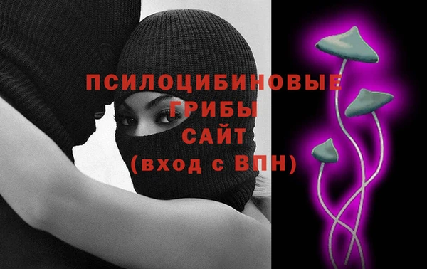 хмурый Алексеевка