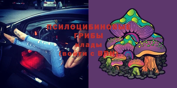 спайс Алзамай