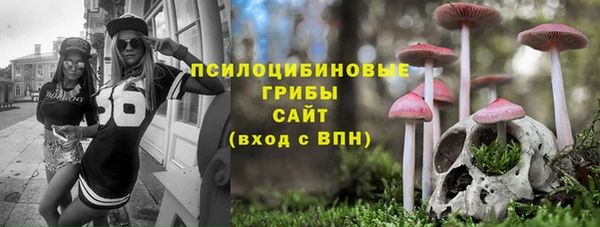прущие крисы Алексин
