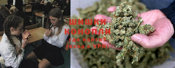 спайс Алзамай