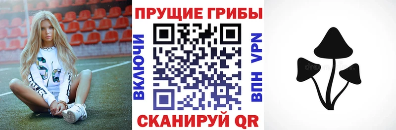 где купить Ишим Галлюциногенные грибы GOLDEN TEACHER