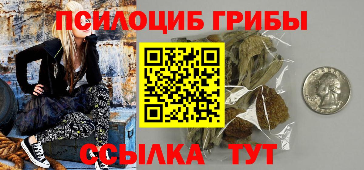 Галлюциногенные грибы мицелий  цена   Ишим 