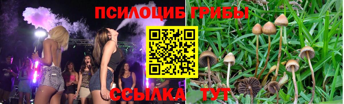 Ишим  Галлюциногенные грибы Psilocybine cubensis  Вход с VPN 